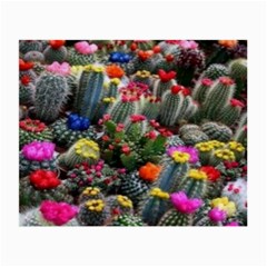 Cactus Small Glasses Cloth