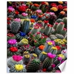 Cactus Canvas 8  X 10  by Sparkle