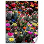 Cactus Canvas 12  x 16  11.86 x15.41  Canvas - 1