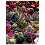 Cactus Canvas 36  x 48  35.26 x46.15  Canvas - 1