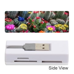 Cactus Memory Card Reader (stick) by Sparkle