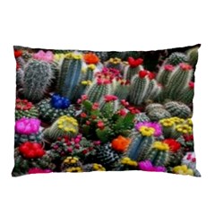 Cactus Pillow Case (two Sides) by Sparkle