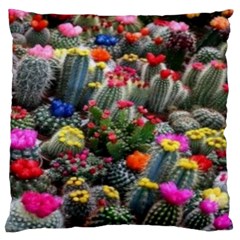 Cactus Large Cushion Case (one Side) by Sparkle