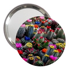 Cactus 3  Handbag Mirrors by Sparkle