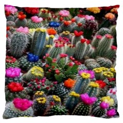 Cactus Standard Flano Cushion Case (one Side) by Sparkle