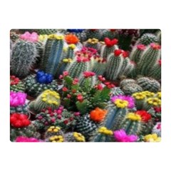 Cactus Double Sided Flano Blanket (mini)  by Sparkle