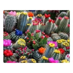 Cactus Double Sided Flano Blanket (large)  by Sparkle