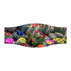 Cactus Stretchable Headband