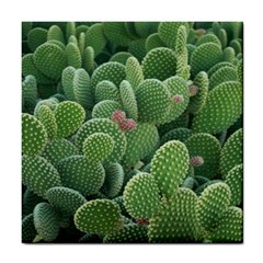 Green Cactus Tile Coaster by Sparkle