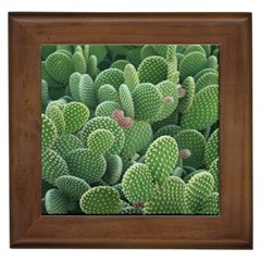 Green Cactus Framed Tile by Sparkle