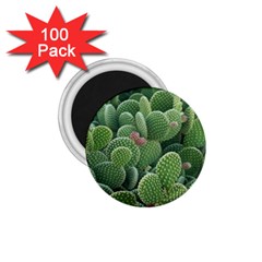 Green Cactus 1 75  Magnets (100 Pack)  by Sparkle