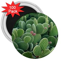 Green Cactus 3  Magnets (100 Pack) by Sparkle