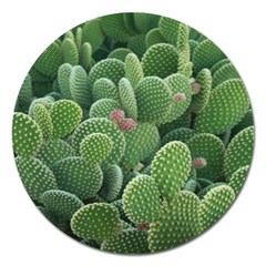 Green Cactus Magnet 5  (round) by Sparkle