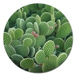 Green Cactus Magnet 5  (Round) Front