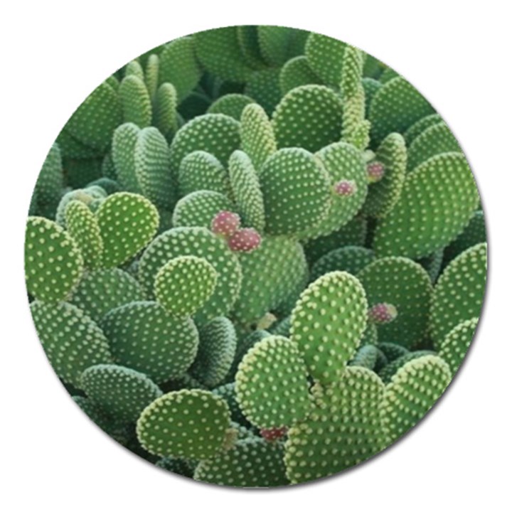 Green Cactus Magnet 5  (Round)