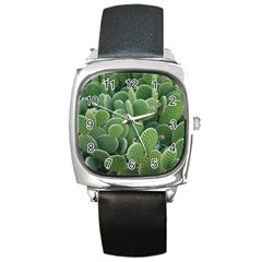 Green Cactus Square Metal Watch by Sparkle