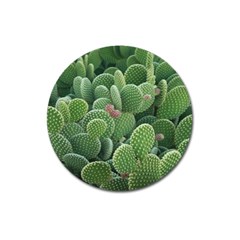 Green Cactus Magnet 3  (round) by Sparkle