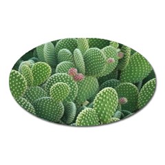 Green Cactus Oval Magnet by Sparkle