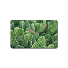 Green Cactus Magnet (name Card) by Sparkle