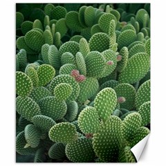 Green Cactus Canvas 8  X 10  by Sparkle