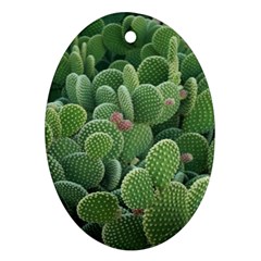 Green Cactus Oval Ornament (two Sides) by Sparkle