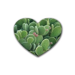 Green Cactus Heart Coaster (4 Pack)  by Sparkle