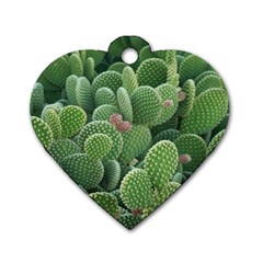 Green Cactus Dog Tag Heart (two Sides) by Sparkle