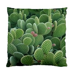 Green Cactus Standard Cushion Case (one Side) by Sparkle