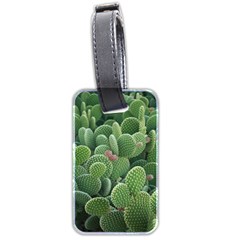 Green Cactus Luggage Tag (two Sides) by Sparkle