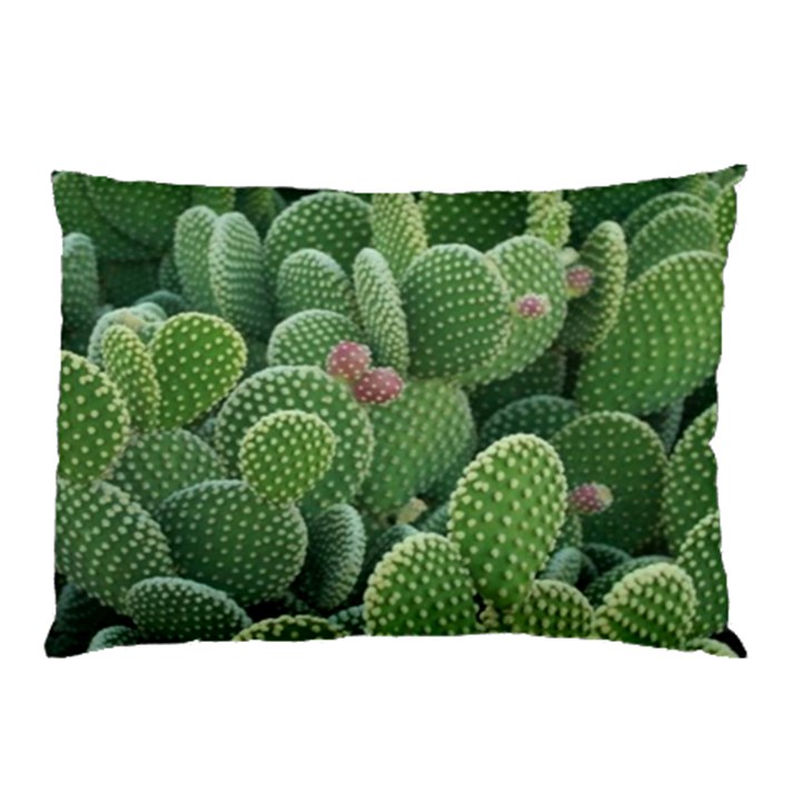 Green Cactus Pillow Case (Two Sides)