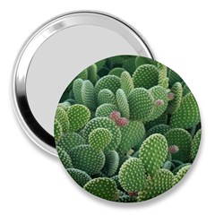 Green Cactus 3  Handbag Mirrors by Sparkle