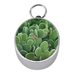 Green Cactus Mini Silver Compasses by Sparkle