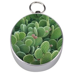 Green Cactus Silver Compasses by Sparkle