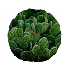 Green Cactus Standard 15  Premium Flano Round Cushions by Sparkle