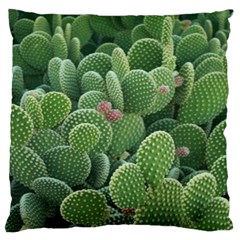 Green Cactus Standard Flano Cushion Case (two Sides) by Sparkle