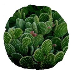 Green Cactus Large 18  Premium Flano Round Cushions by Sparkle