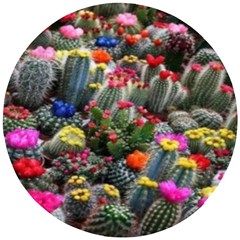 Cactus Wooden Puzzle Round by Sparkle