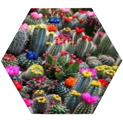 Cactus Wooden Puzzle Hexagon by Sparkle