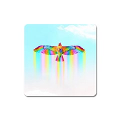 Rainbow Bird Square Magnet by Sparkle