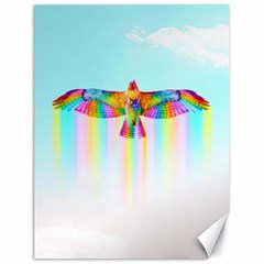 Rainbow Bird Canvas 18  X 24  by Sparkle