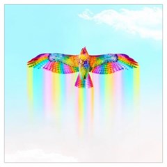 Rainbow Bird Long Sheer Chiffon Scarf  by Sparkle