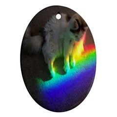 Rainbowcat Ornament (oval)