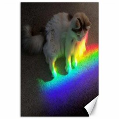 Rainbowcat Canvas 12  X 18  by Sparkle