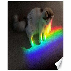 Rainbowcat Canvas 11  X 14  by Sparkle