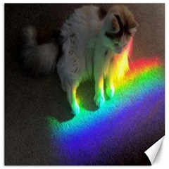 Rainbowcat Canvas 20  X 20  by Sparkle