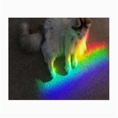 Rainbowcat Small Glasses Cloth (2 Sides) by Sparkle