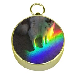 Rainbowcat Gold Compasses by Sparkle