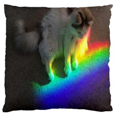 Rainbowcat Standard Flano Cushion Case (one Side) by Sparkle