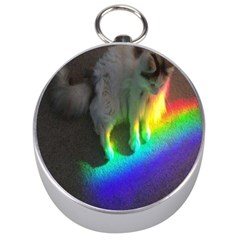 Rainbowcat Silver Compasses by Sparkle