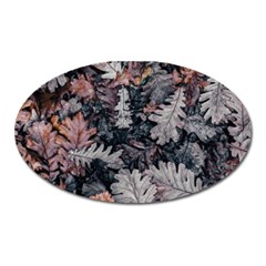 Autumn Leafs Oval Magnet